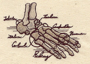 Anatomical Foot - Image 2