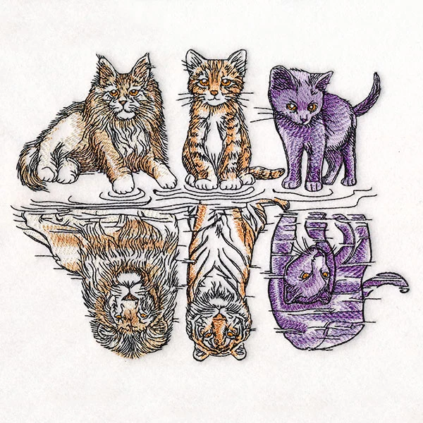 Aspirational Cat Reflections