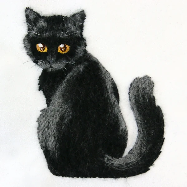 Brushed Kitten - Image 3
