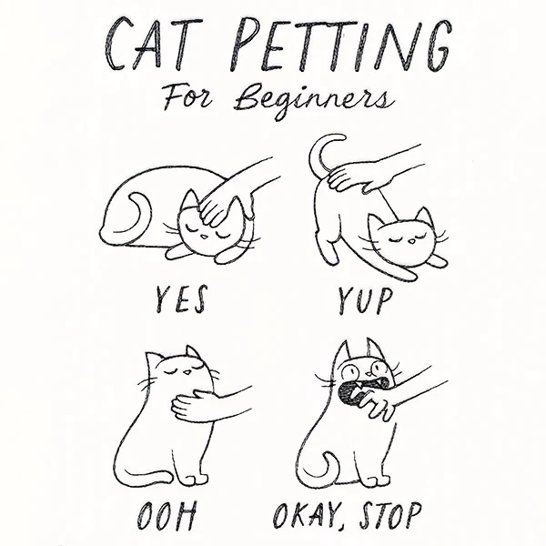 Cat Petting Guide
