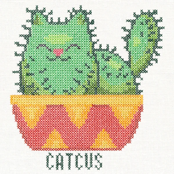 Catcus - Image 3