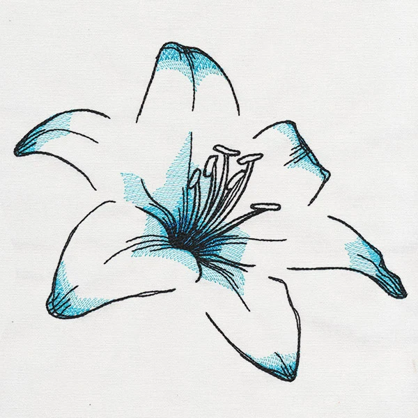 Delicate Petals