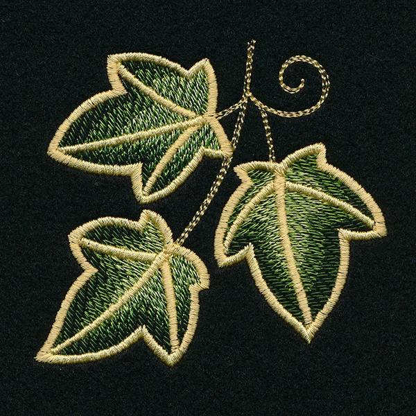 Enchanted Ivy Accent