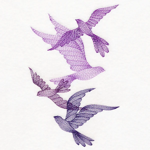 Feathered Curiosity Birds Collage - Image 4