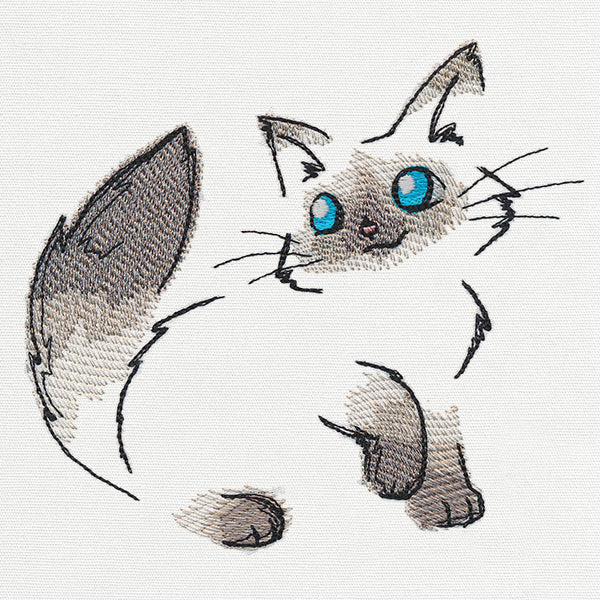 Fluffy Kitty - Image 2
