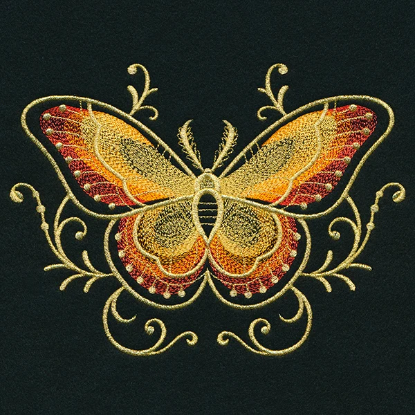 Gilded Mirage Moth