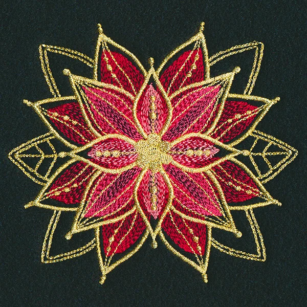 Gilded Mirage Poinsettia - Image 7