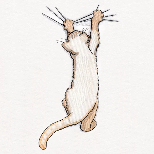 Hang in There Kitty