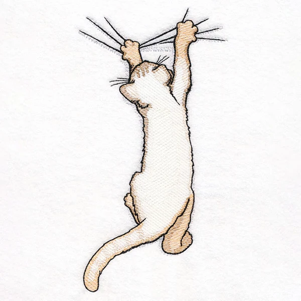 Hang in There Kitty - Image 5