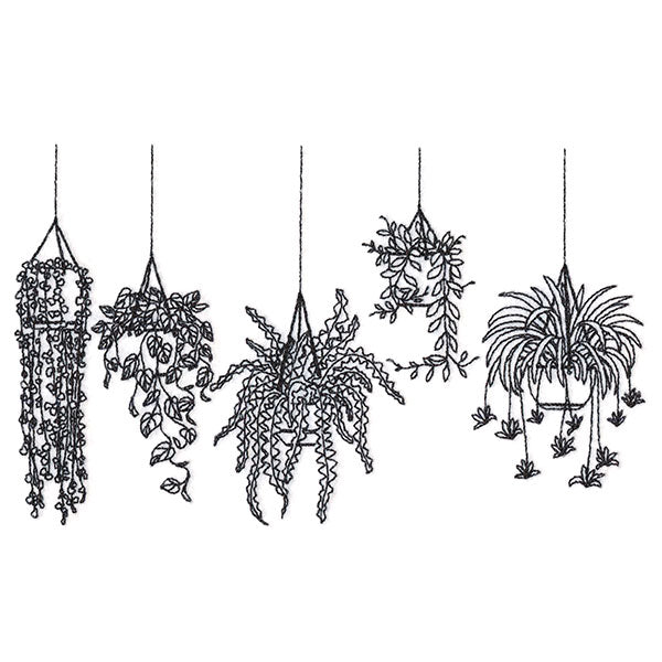 Hanging Houseplants Border - Image 4