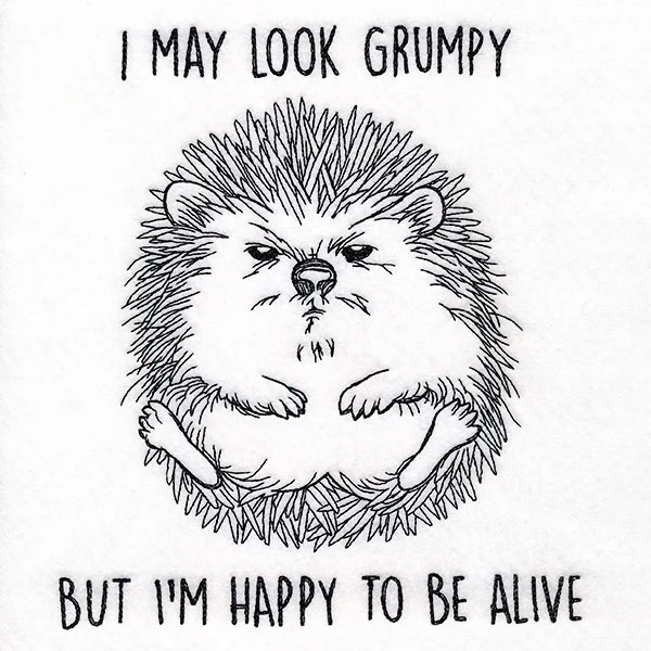 Happy to Be Alive Hedgehog - Image 9