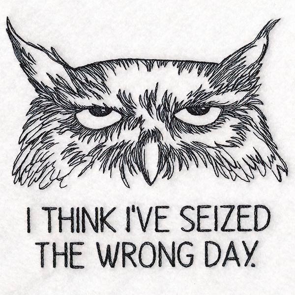 I Think I've Seized the Wrong Day Owl - Image 3
