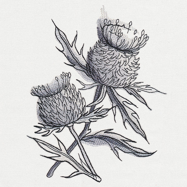 Ink & Wash - Thistle - Image 2