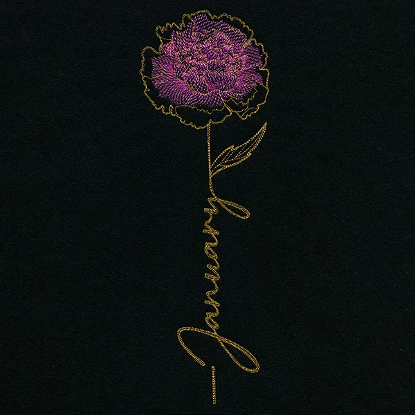 January Birth Flower - Carnation