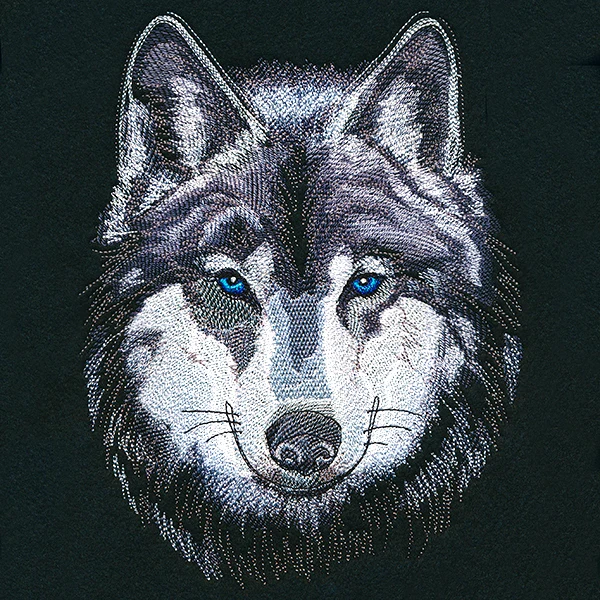 Magnificent Wolf