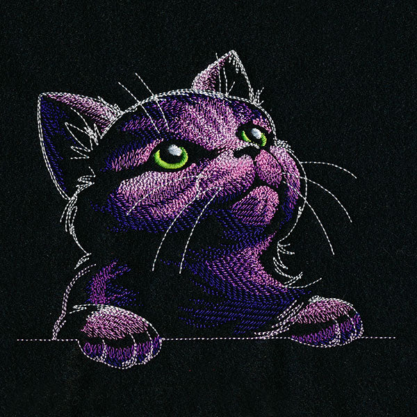 Mesmerized in Wonder Cat - Image 3