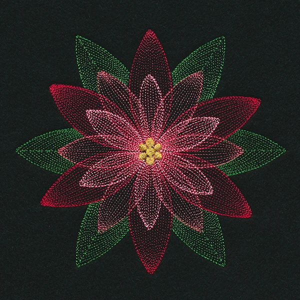 Mirage Poinsettia - Image 3