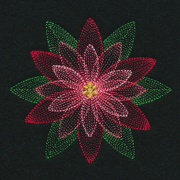 Mirage Poinsettia - Image 4