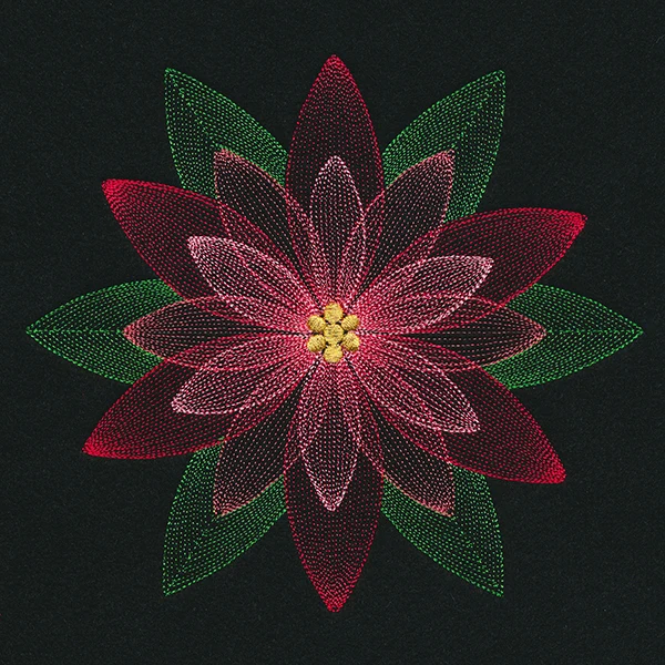 Mirage Poinsettia - Image 5