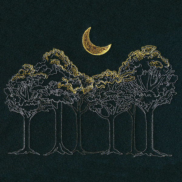Moonlit Forest Scene
