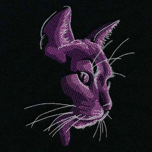 Moonlit Kitties - Looking Down