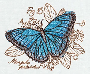 Nature's Curiosities Butterfly Diagram - Image 3
