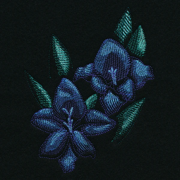 Night Garden Gladiolus - Image 3