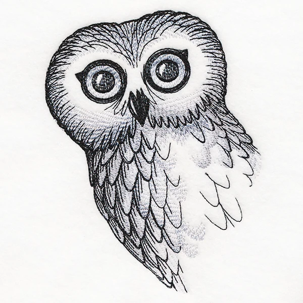 O Hai Owl - Image 3