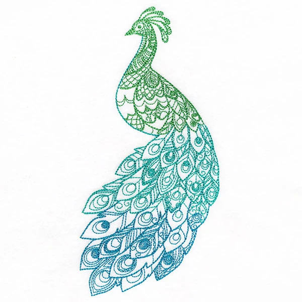 Ombre Majesty Peacock - Image 9