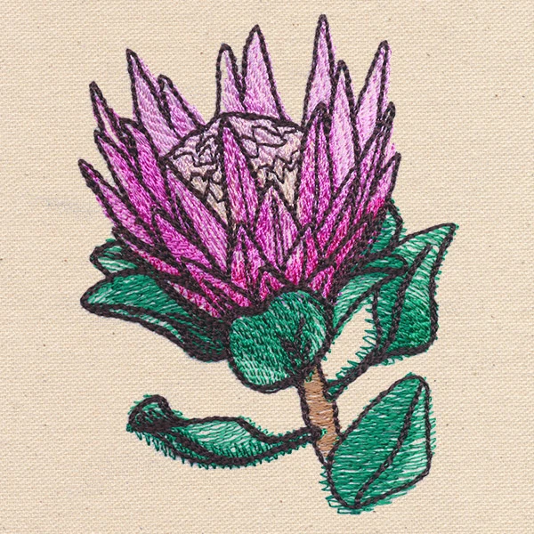 Passport to South Africa - King Protea