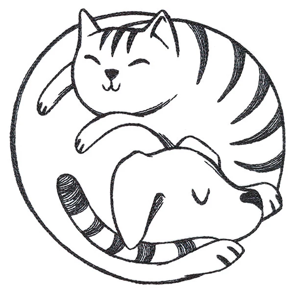 Paw-sitively Snuggly Cat & Dog - Image 3