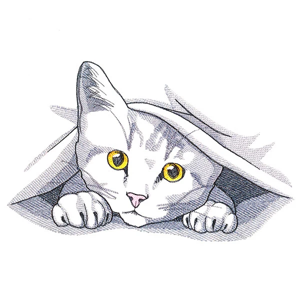 Peeking and Playful Cat - Image 11