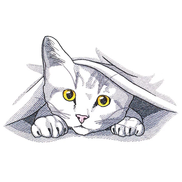 Peeking and Playful Cat - Image 3
