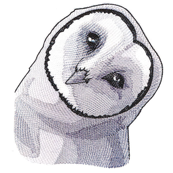 Peeking Barn Owl - Image 5