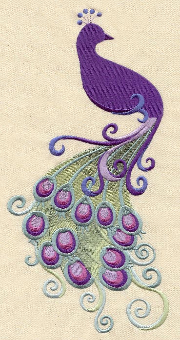 Proud Peacock