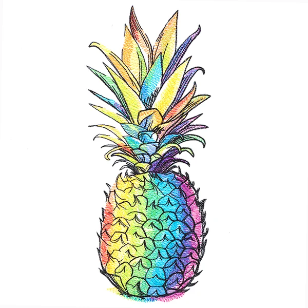 Rainbow Dreams Pineapple - Image 3