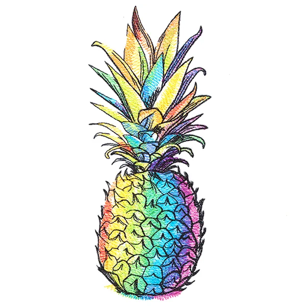 Rainbow Dreams Pineapple - Image 5