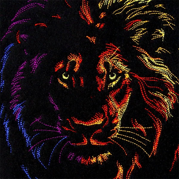 Rainbows & Mystery Lion - Image 10