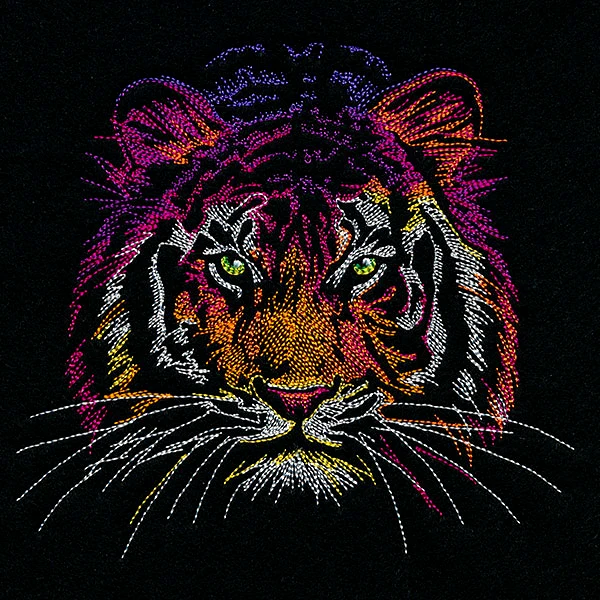 Rainbows & Mystery - Tiger Head - Image 4