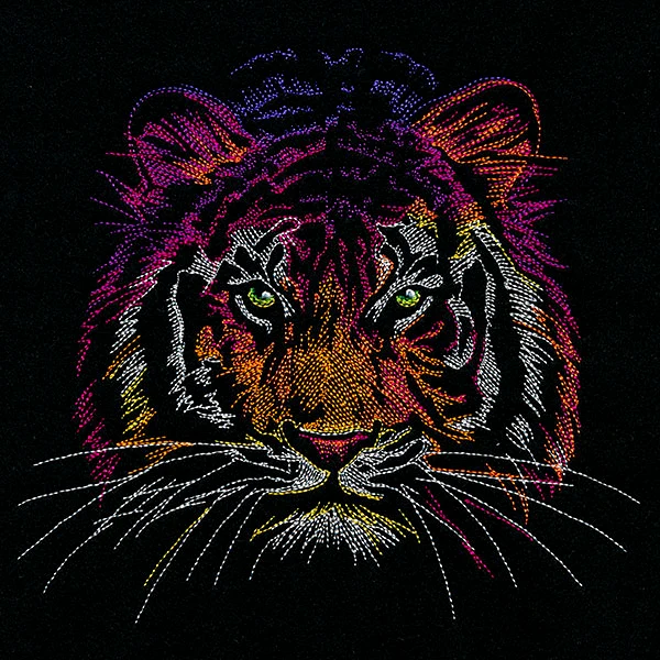 Rainbows & Mystery - Tiger Head - Image 5