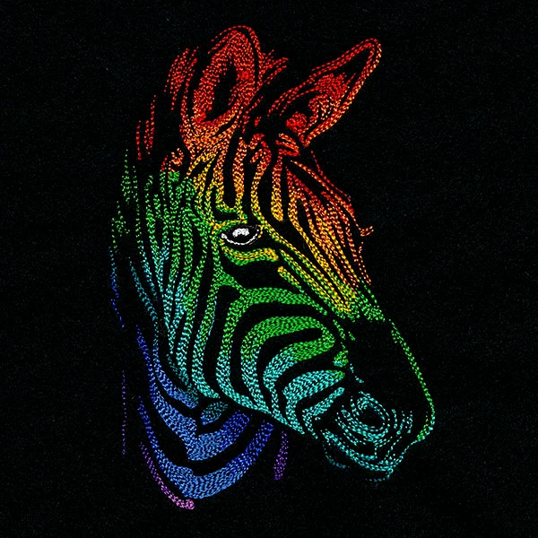 Rainbows & Mystery - Zebra Head - Image 3