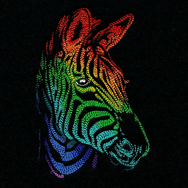 Rainbows & Mystery - Zebra Head - Image 5