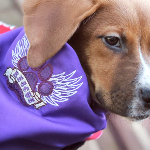 Rescue Paw - Image 18