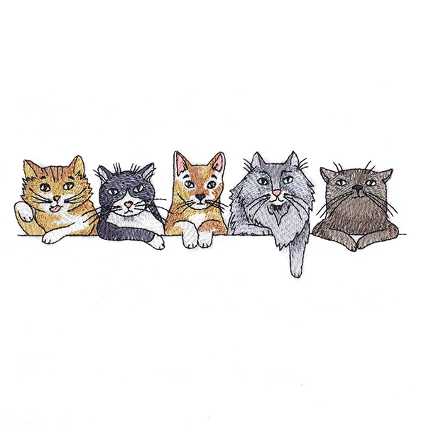 Sassy Cats Border - Image 4