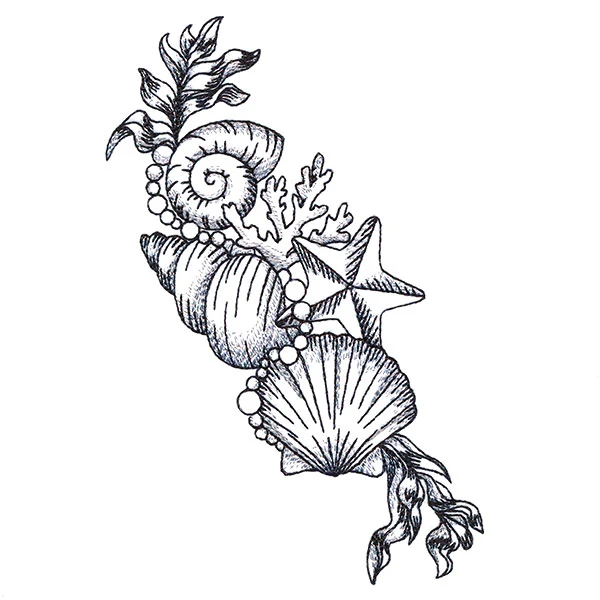 Seashell Treasures - Image 5