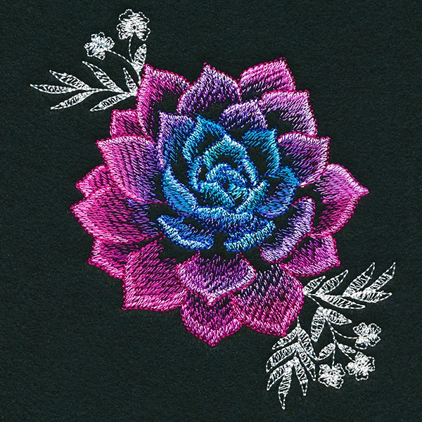 Sheer Beauty Succulent - Image 11