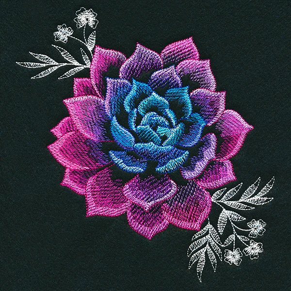 Sheer Beauty Succulent - Image 15