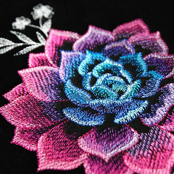 Sheer Beauty Succulent - Image 8