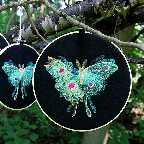 Sheer Illusions Luna Moth - Image 6