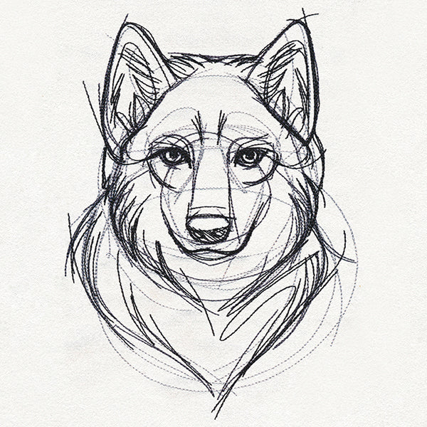 Sketchwork - Wolf - Image 6